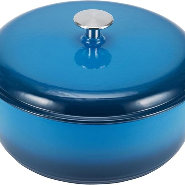 Blue Enameled Cast Iron Stew Pot