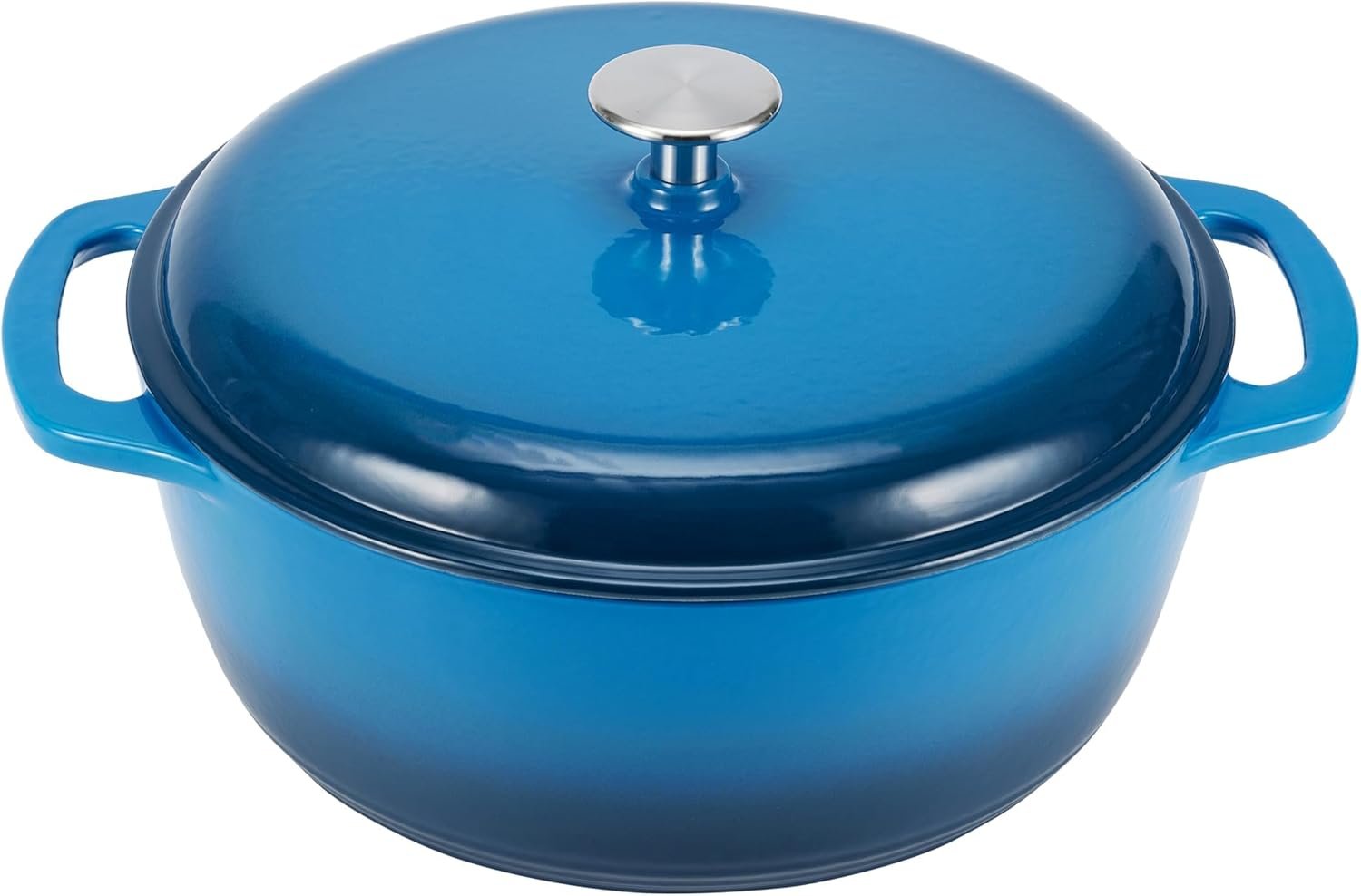 Blue Enameled Cast Iron Stew Pot