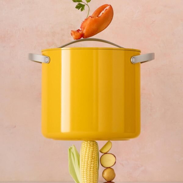 Stockpot with lid